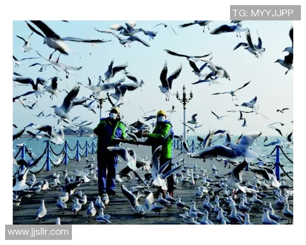 全南天龙与大田市民激战在即谁能在这场较量中笑到最后